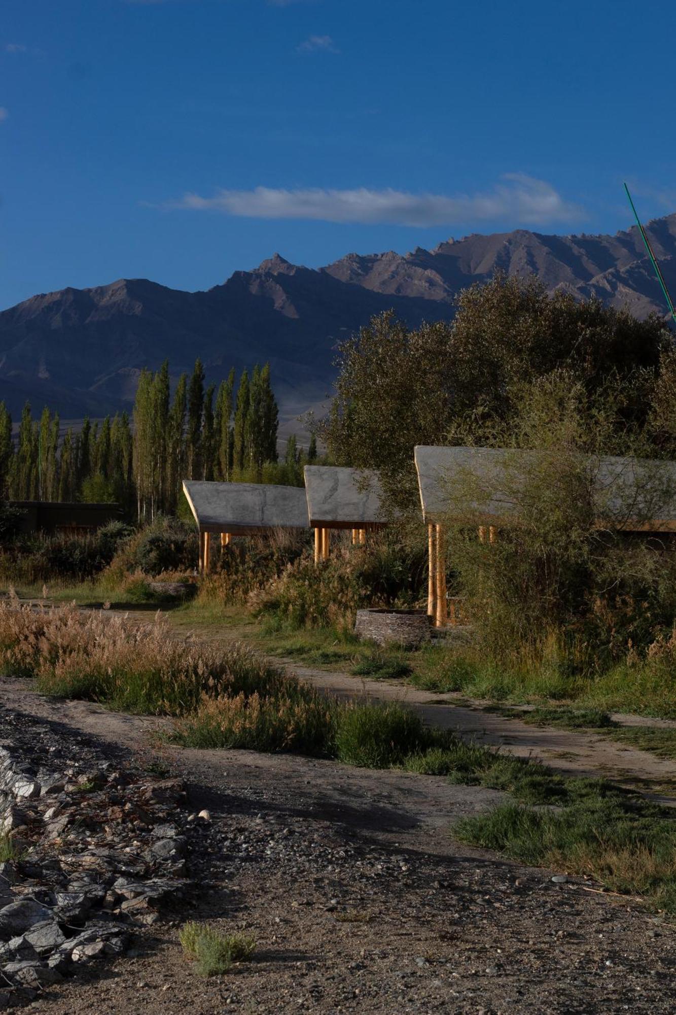 The Indus River Camp Leh Dış mekan fotoğraf