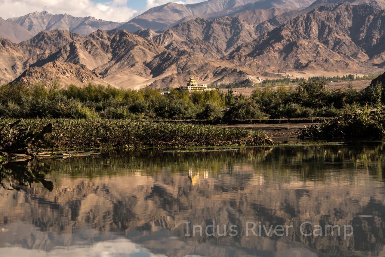 The Indus River Camp Leh Dış mekan fotoğraf